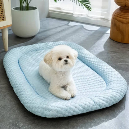 Tapis Rafraîchissant pour Chien