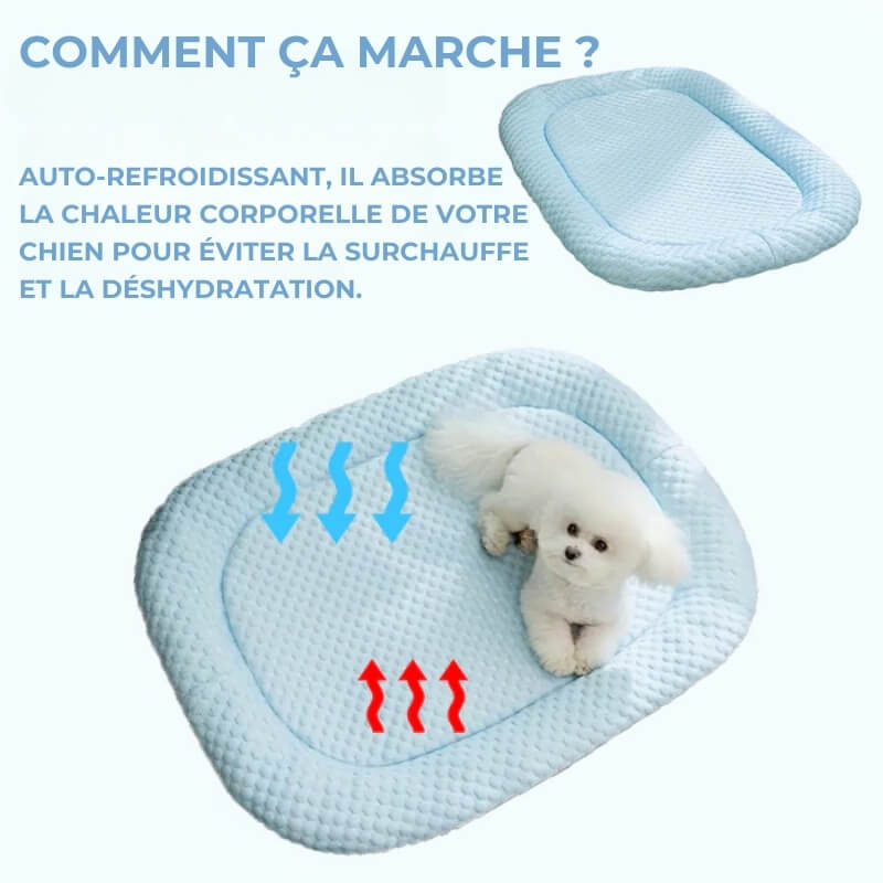 Tapis Rafraîchissant pour Chien