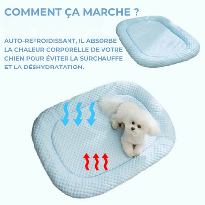 Tapis Rafraîchissant pour Chien