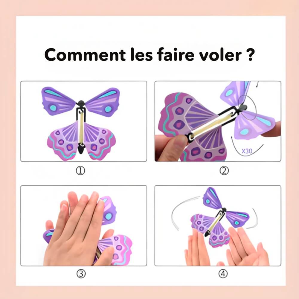 VolPapillons | Le cadeau que vous cherchiez !