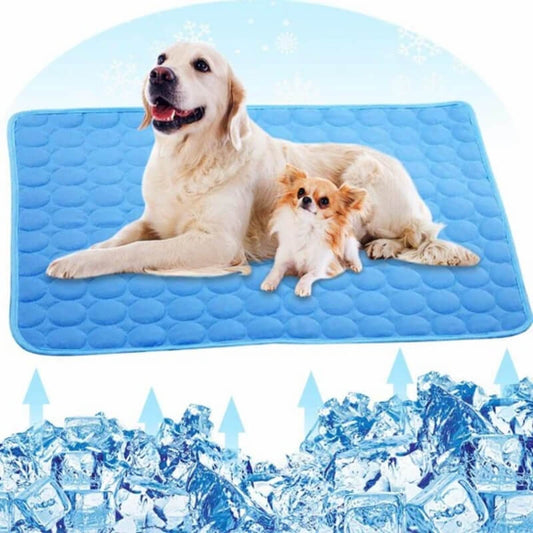 Tapis Rafraîchissant pour Chien