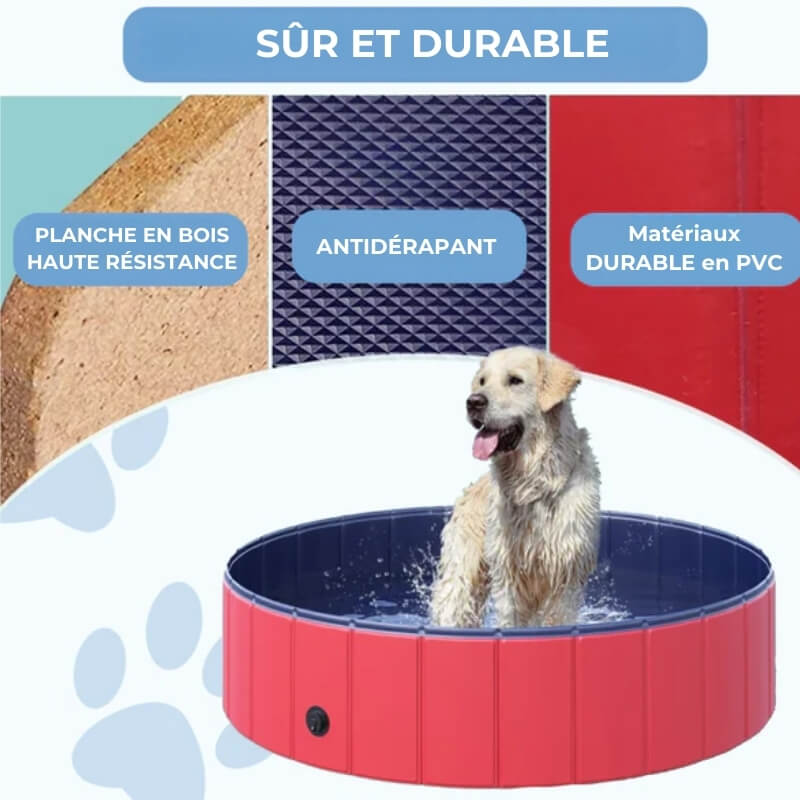 Piscine d'Été pour Chiens