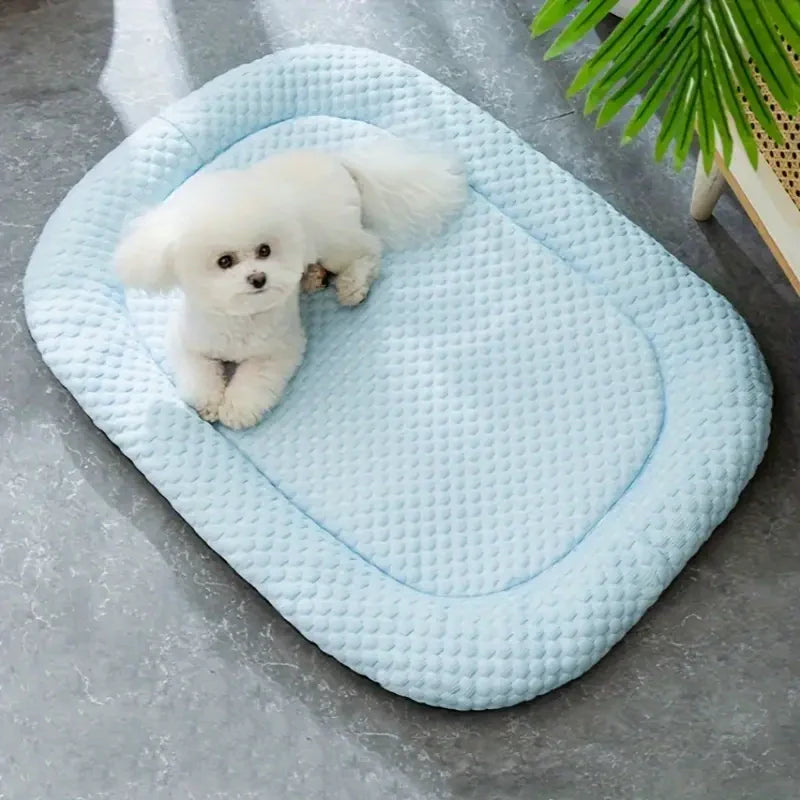 Tapis Rafraîchissant pour Chien