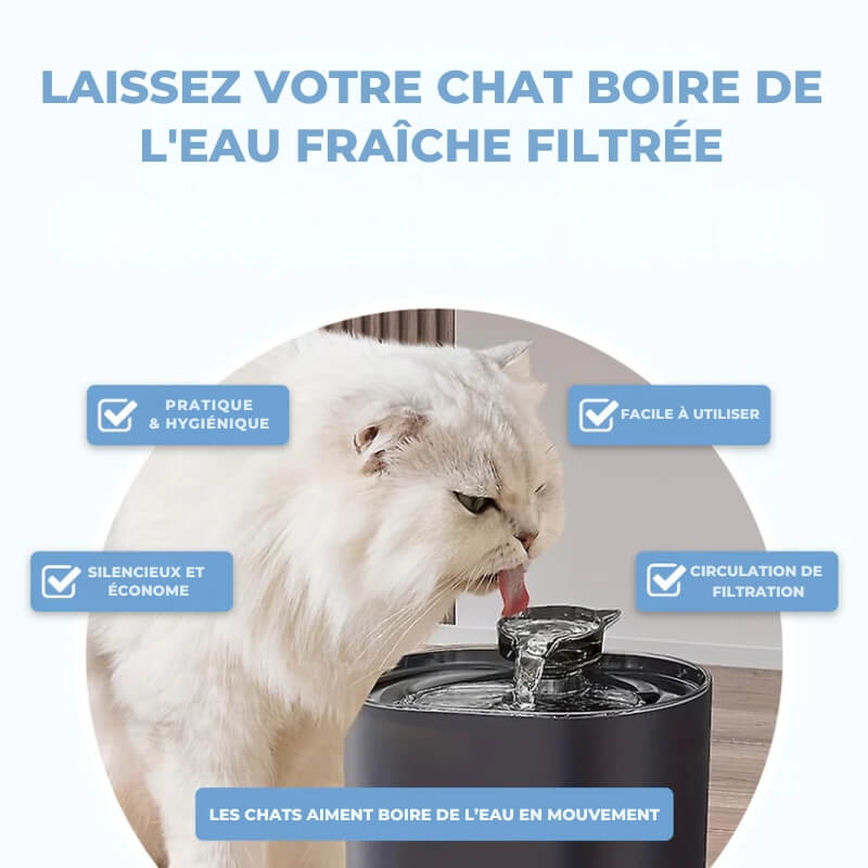 Fontaine à Eau pour Chat avec Filtre Eauflow - Jubilisto