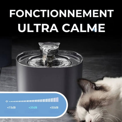 Fontaine à Eau pour Chat avec Filtre Eauflow - Jubilisto