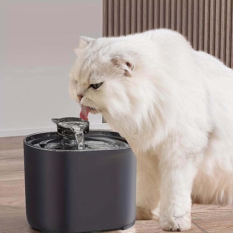 Fontaine à Eau pour Chat avec Filtre Eauflow - Jubilisto