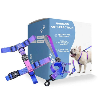 L'harnais Anti - Traction pour Chien - Jubilisto