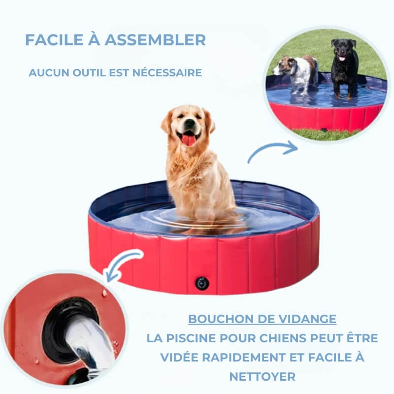 Piscine d'Été pour Chiens - Jubilisto